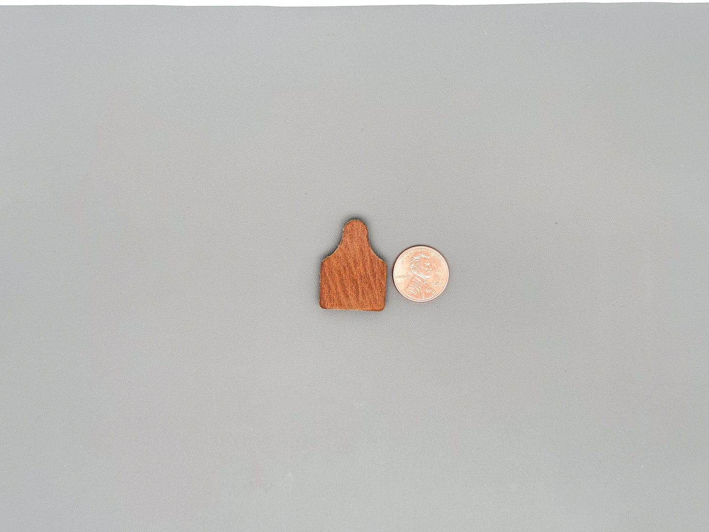 Cow Tag Earing
